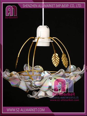 Acrylic Gold Frame Chandelier AMN1368