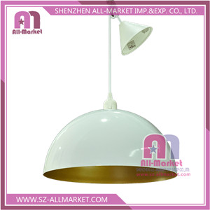 dome lamp shades.jpg